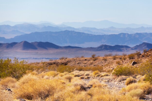 Bellissimi paesaggi del deserto americano