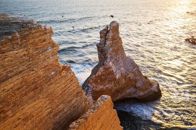 Bellissimi paesaggi della costa nella Riserva Nazionale di Paracas, regione di Ica, costa del Pacifico del Perù.