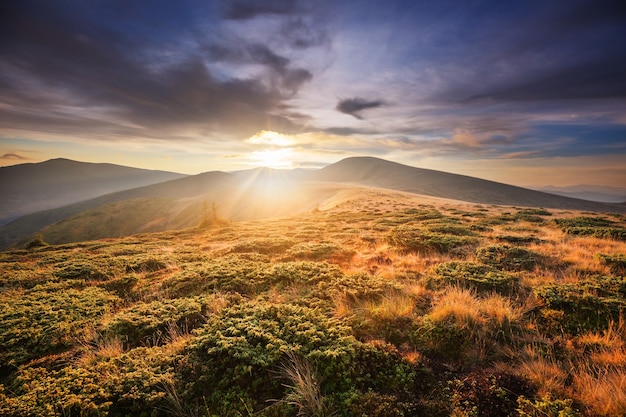 Bellissimi paesaggi naturali nelle montagne dei Carpazi