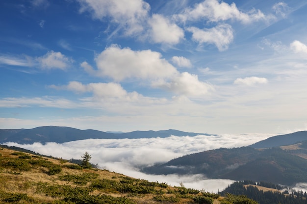 Bellissimi paesaggi naturali nelle montagne dei Carpazi