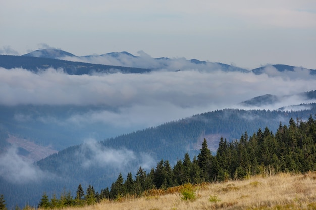 Bellissimi paesaggi naturali nelle montagne dei Carpazi