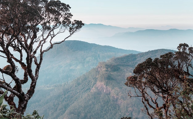 Bellissimi paesaggi naturali verdi nelle montagne dello Sri Lanka