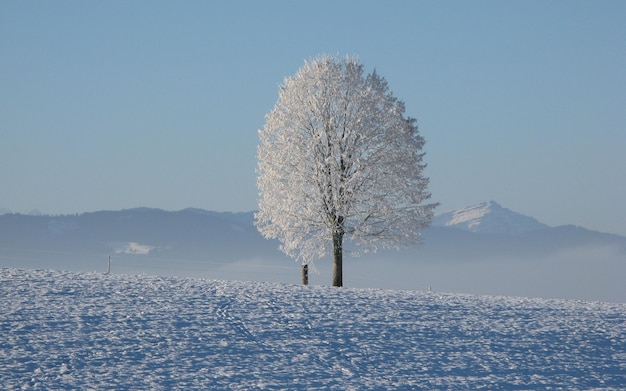 bellissimi paesaggi naturali