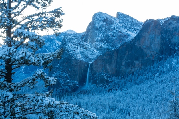 Bellissimi paesaggi primaverili nel Parco nazionale di Yosemite, Yosemite, USA