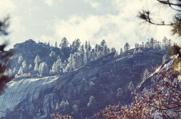 Bellissimi paesaggi primaverili nel Parco Nazionale di Yosemite, Yosemite, USA