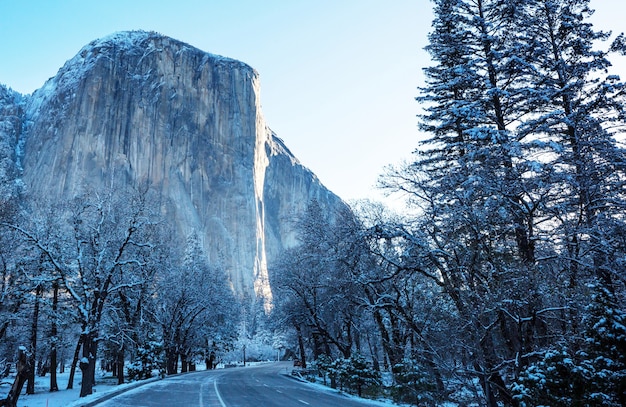 Bellissimi paesaggi primaverili nel Parco Nazionale di Yosemite, Yosemite, USA