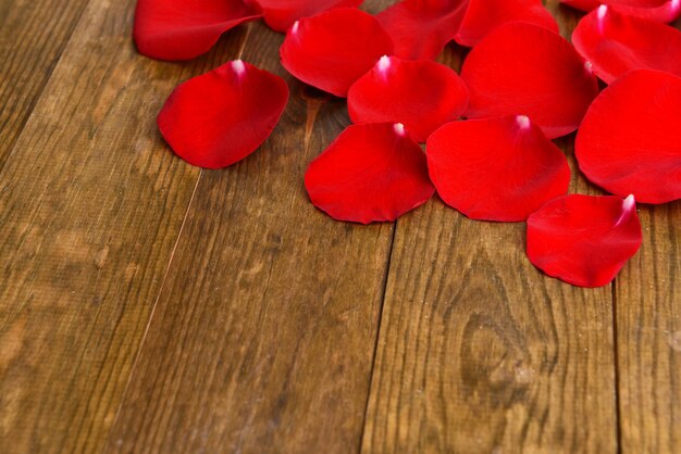 Bellissimi petali di rose rosse su fondo di legno