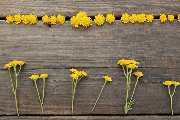 Bellissimi piccoli fiori selvatici su fondo di legno