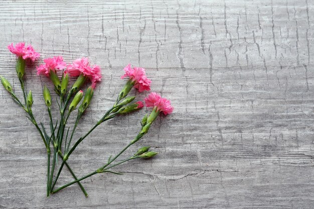 Bellissimi piccoli fiori selvatici su fondo di legno