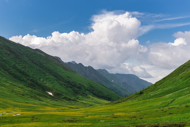 Bellissimi prati alpini fioriti verdi sul cornicione Bzerpinsky a Krasnaya Polyana, Sochi. Montagne e cielo con le nuvole