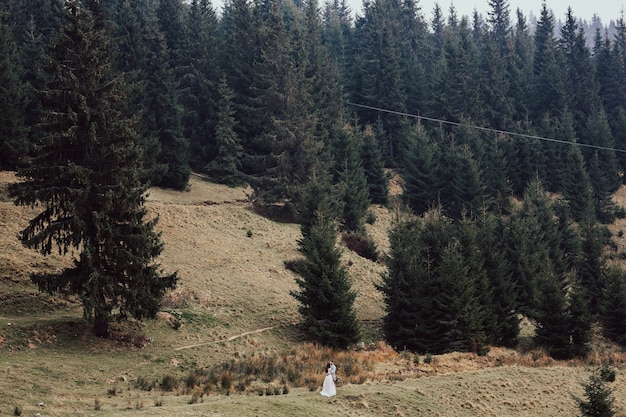 Bellissimi sposi stanno camminando su una collina in mezzo alla pineta e alla montagna.