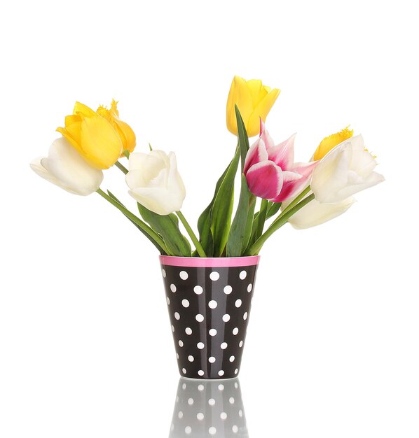 Bellissimi tulipani in vaso isolato su bianco