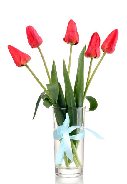Bellissimi tulipani in vaso isolato su bianco