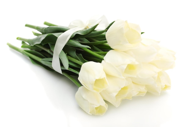 Bellissimi tulipani isolati su bianco