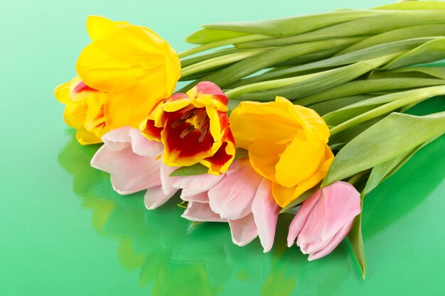 Bellissimi tulipani nel secchio su sfondo verde