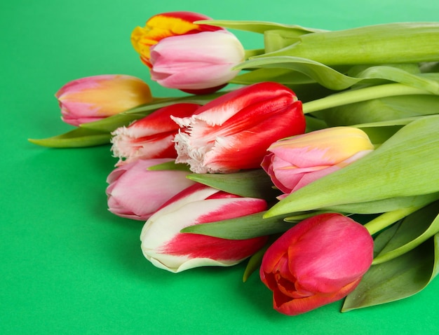 Bellissimi tulipani nel secchio su sfondo verde