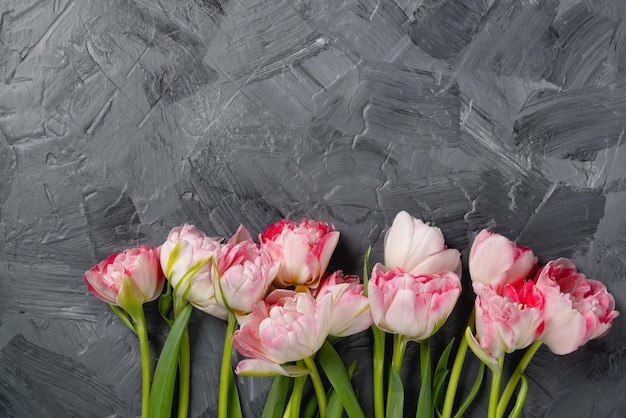 Bellissimi tulipani primaverili rosa su sfondo grigio astratto spazio piatto per il testo