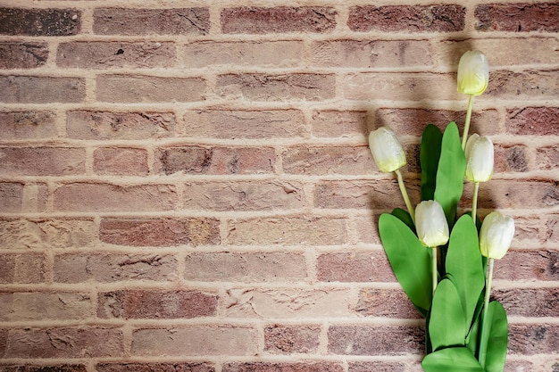 Bellissimi tulipani su sfondo muro di mattoni Bella cartolina d'auguri con tulipani per la festa della mamma