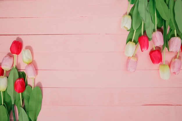 Bellissimi tulipani su sfondo rosa.