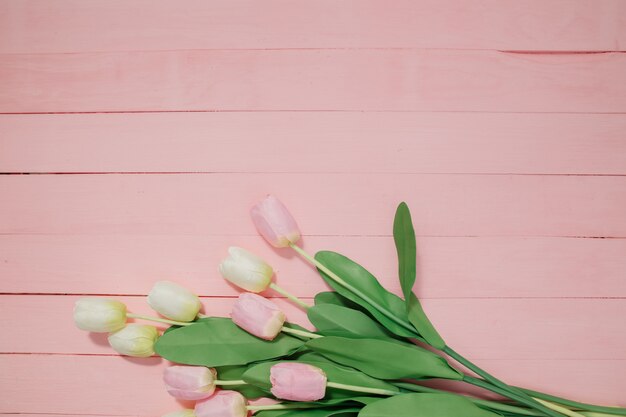 Bellissimi tulipani su sfondo rosa.