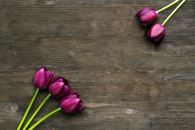 Bellissimi tulipani viola su fondo di legno