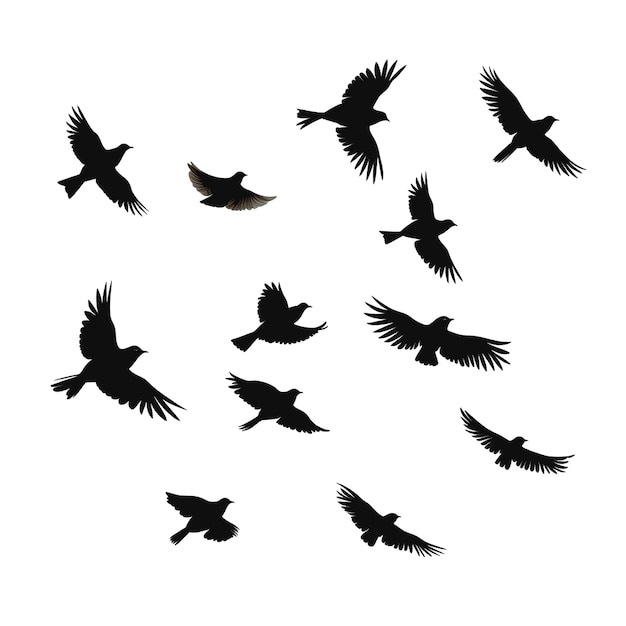 Bellissimi uccelli sono stati generati