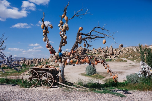 Bellissimo albero della Cappadocia appeso con piatti in ceramica