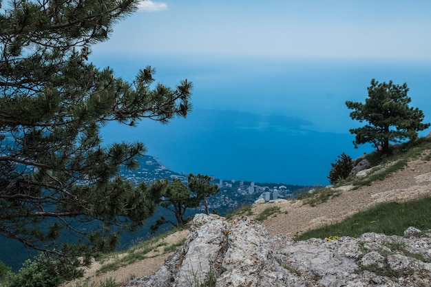 Bellissimo albero di pino sullo sfondo di montagne e cielo nuvoloso blu