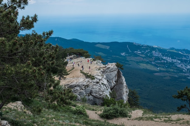 Bellissimo albero di pino sullo sfondo di montagne e cielo nuvoloso blu