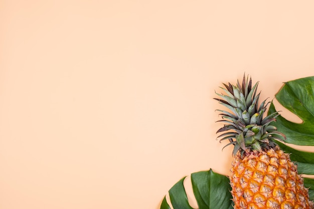 Bellissimo ananas su foglie di monstera di palma tropicale isolate su sfondo rosa arancio pastello brillante vista dall'alto piatto sopra la frutta estiva