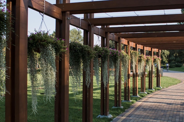 Bellissimo arco in legno nel parco in estate