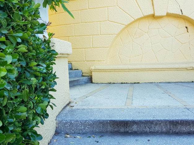 Bellissimo arco in pietra nel muro sul pianerottolo delle scale con piante verdi