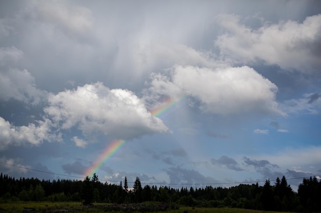 Bellissimo arcobaleno dopo la pioggia sulla foresta del villaggio