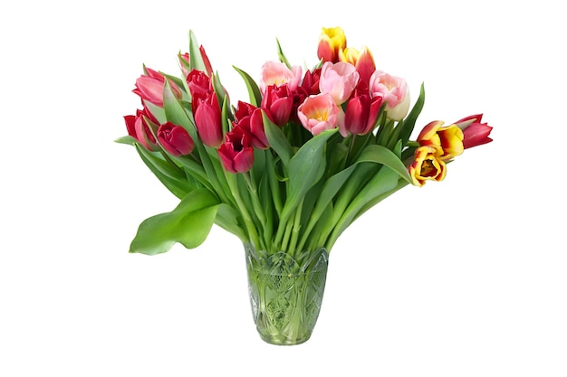 Bellissimo bouquet con tulipani multicolori in vaso isolato