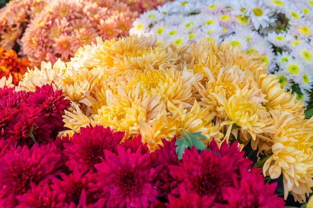 Bellissimo bouquet di diverse varietà di fiori