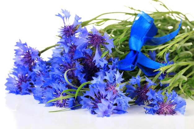 Bellissimo bouquet di fiordalisi isolato su bianco