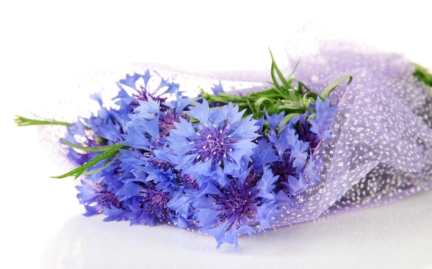 Bellissimo bouquet di fiordalisi isolato su bianco
