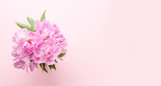 Bellissimo bouquet di fiori di peonia da giardino