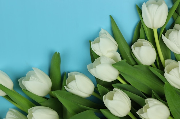 Bellissimo bouquet di fiori di tulipano bianco con carta su sfondo blu spazio per il testo