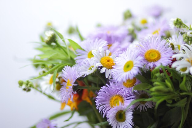 Bellissimo bouquet di fiori selvatici luminosi Fiori colorati primaverili su uno sfondo chiaro primo piano