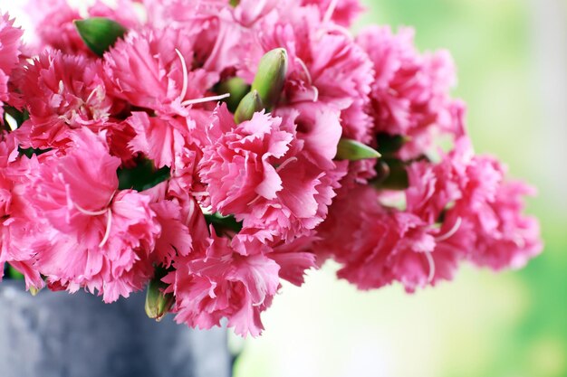 Bellissimo bouquet di garofano rosa in annaffiatoio su sfondo luminoso