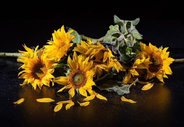 Bellissimo bouquet di girasoli sulla superficie nera.