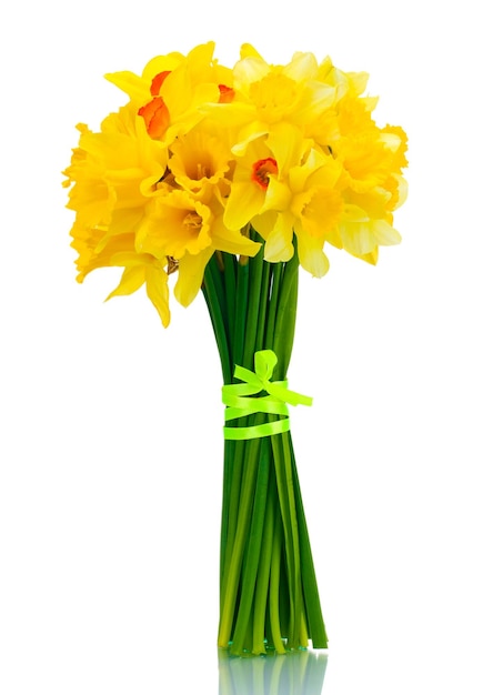 Bellissimo bouquet di narcisi gialli isolati su bianco