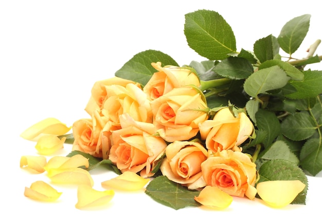 Bellissimo bouquet di rose e petali isolati su bianco