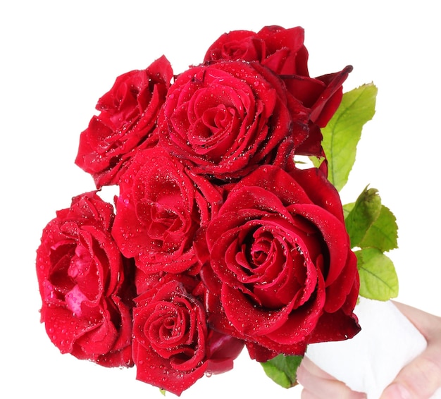 Bellissimo bouquet di rose rosse isolate su bianco