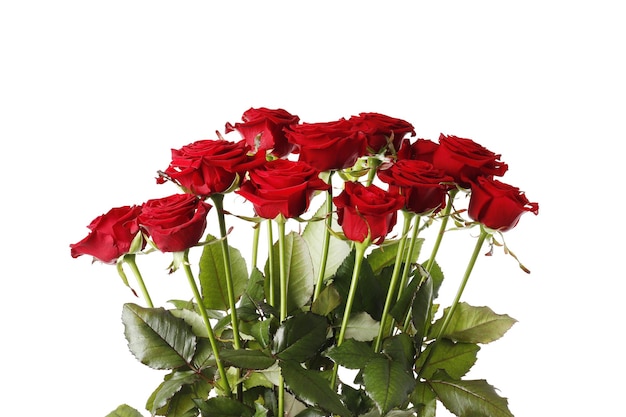 Bellissimo bouquet di rose rosse isolato su sfondo bianco