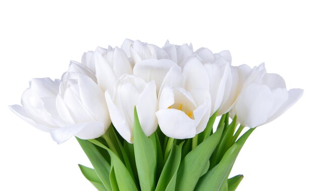 Bellissimo bouquet di tulipani bianchi isolati su bianco