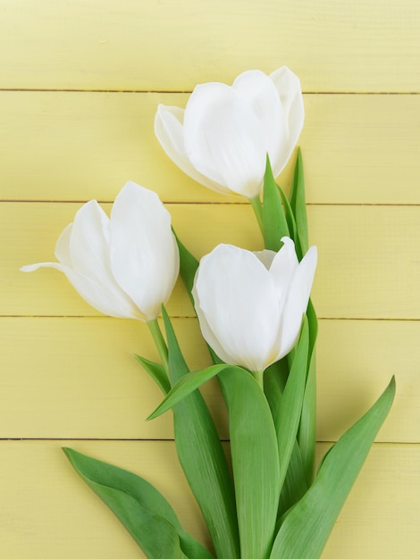 Bellissimo bouquet di tulipani bianchi su sfondo giallo chiaro