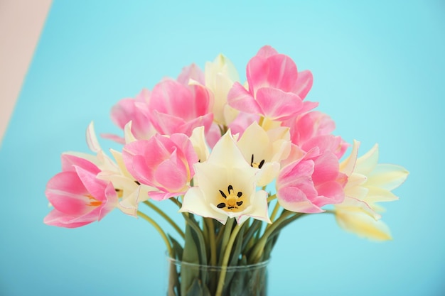 Bellissimo bouquet di tulipani freschi su sfondo colorato