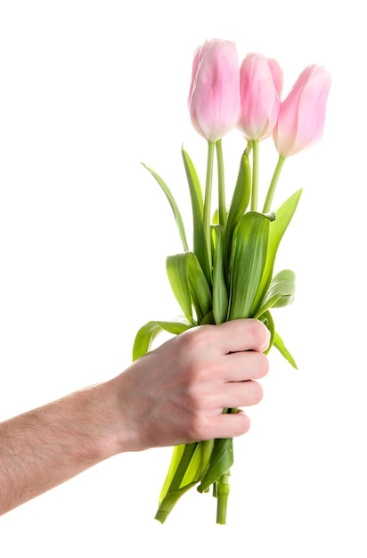 Bellissimo bouquet di tulipani rosa in mano dell'uomo, isolato su bianco